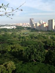 Blk 315A Ang Mo Kio Street 31 (Ang Mo Kio), HDB 5 Rooms #131188282